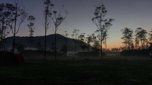 Silhouette trees on field against sky at sunset