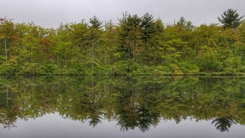 Reflection of trees in lake against sky