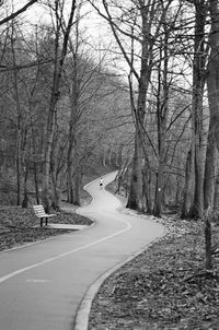 Road passing through forest