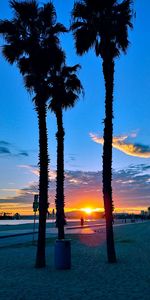 Silhouette palm tree by swimming pool against sky during sunset