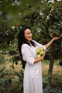 Woman picking apples in garden. traditional collecting organic fruit.