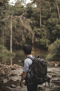 Rear view of man looking at forest