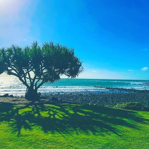 Scenic view of sea against clear blue sky