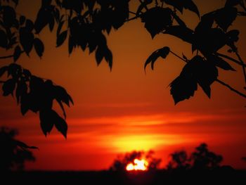 Low angle view of silhouette trees against romantic sky