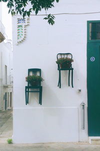 Potted plant on modern building