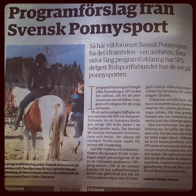 Svenskponnysport