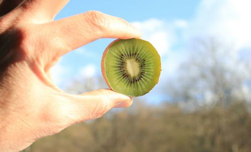 Close-up of hand holding fruit against sky