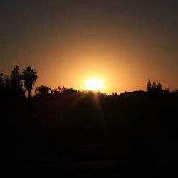 Silhouette of trees at sunset