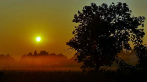 Silhouette tree on field against sky during sunset