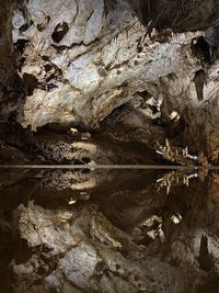 Close-up of rock in water