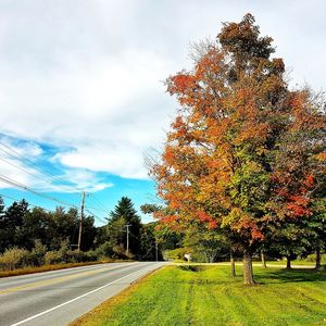 Road amidst trees against sky during autumn