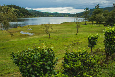 Scenic view of lake against sky