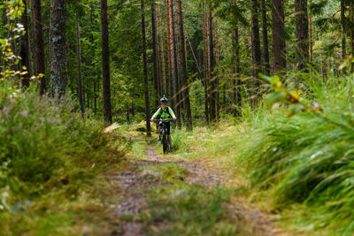 Young boy cycle mountain bike in forest