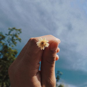 Close-up of hand holding flower against blurred background