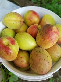 High angle view of apples in container