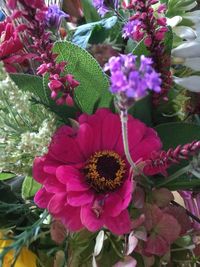 Close-up of flowers blooming outdoors