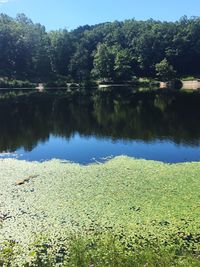 Scenic view of calm lake