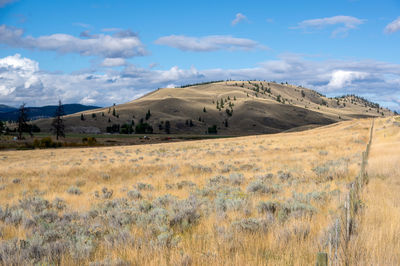 Scenic view of field against sky