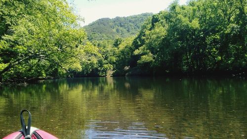 Scenic view of lake by trees against sky