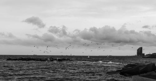 Birds flying over sea against sky