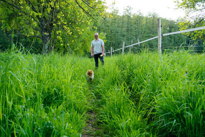 The man with small dog. the path in the grass in the fields country side on sunny spring day