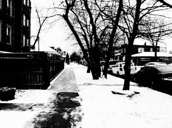 Road passing through bare trees