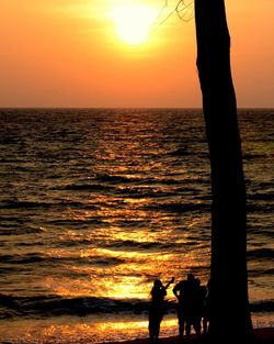 Silhouette of people on beach