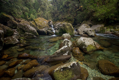 Stream flowing through rocks in forest