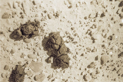 High angle view of footprints on sand