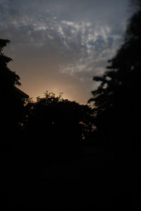 Silhouette trees against sky during sunset