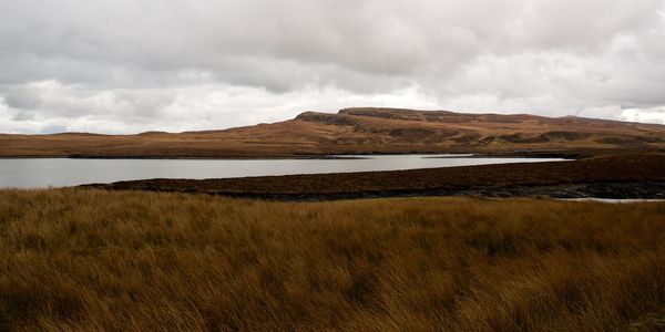 Scenic view of field by lake against cloudy sky