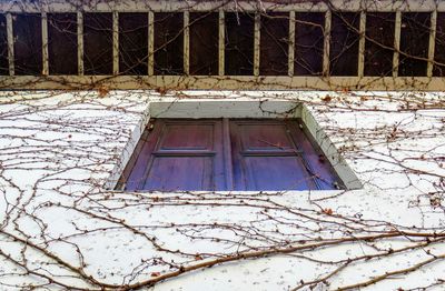 Low angle view of house window during winter