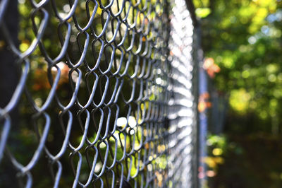 Close-up of chainlink fence