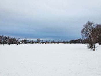 Bare trees on snow covered landscape against sky