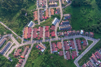 High angle view of trees and buildings in city