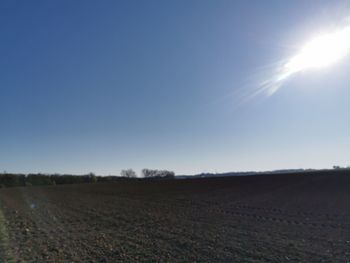 Scenic view of agricultural field against clear blue sky