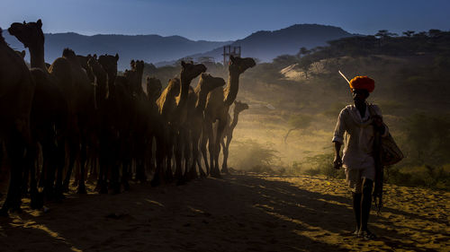 Rear view of people walking on desert against sky