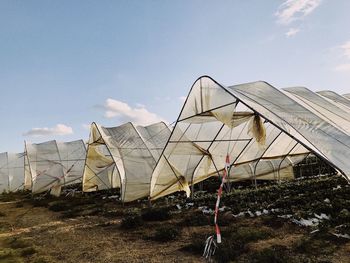 Man on field against sky