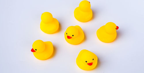 High angle view of yellow duck floating on water against white background