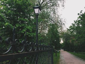 Footpath in park