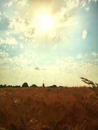 Scenic view of landscape against sky