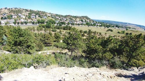 Scenic view of green landscape against clear sky