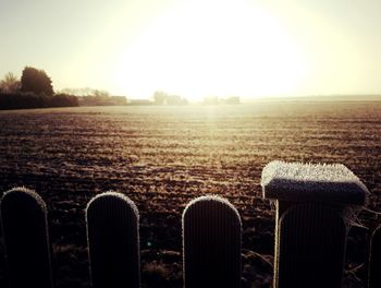 Scenic view of field against clear sky during sunset