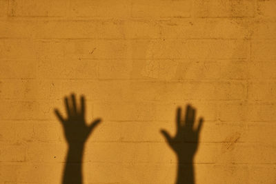 Shadow of person hand on wall