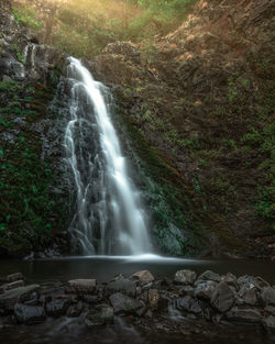 Scenic view of waterfall in forest