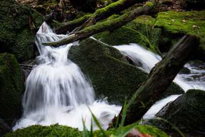 Stream flowing through rocks in forest