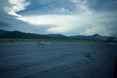 Scenic view of mountains against cloudy sky