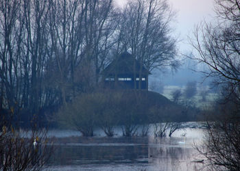 Bare trees by lake against sky during winter