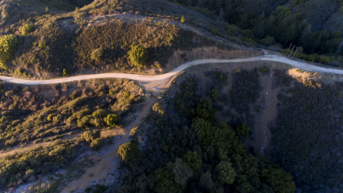 High angle view of road amidst trees in forest