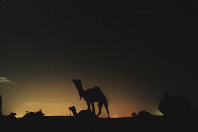 Silhouette men on field against sky at night